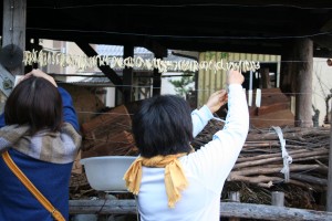 大根を干しているところ