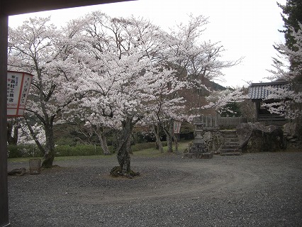 山家城址公園