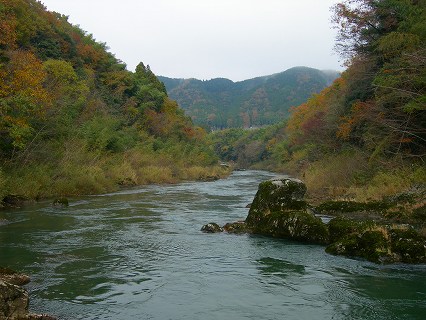 岩の傍から見た由良川