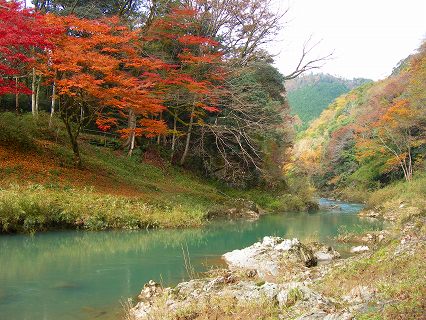 東山公園の紅葉 東山公園の紅葉