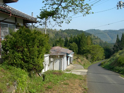 随岸寺への参道 003
