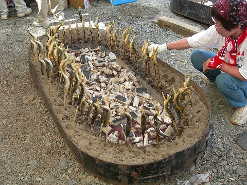 鮎焼き